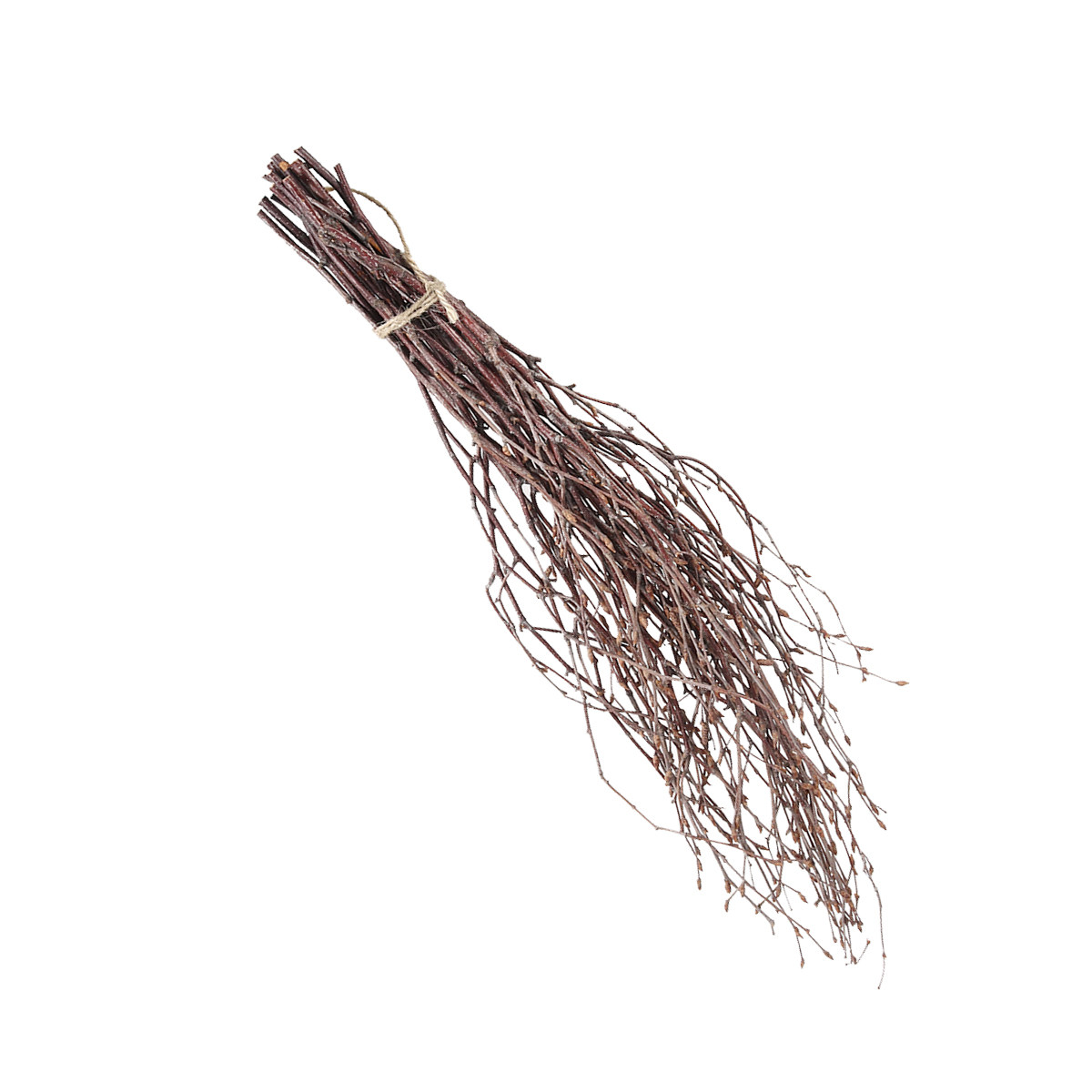 10Pcs 40Cm Premium Birch Branc - Craft Embellishment ulasan dan harga